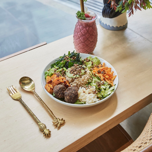 Home Vegan Bar 500x500.png