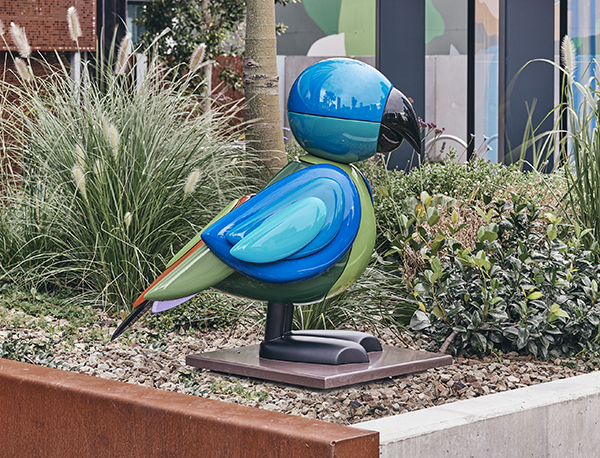 Grass Parrot Family 01.jpg