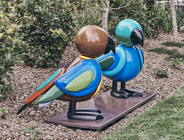 Grass Parrot Family 02.jpg