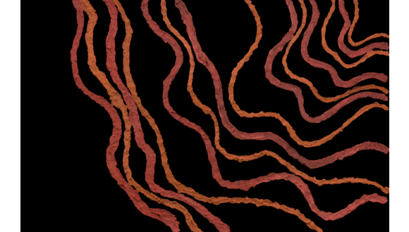 Songlines Beneath the Earth by Simone Thomson_crop.png